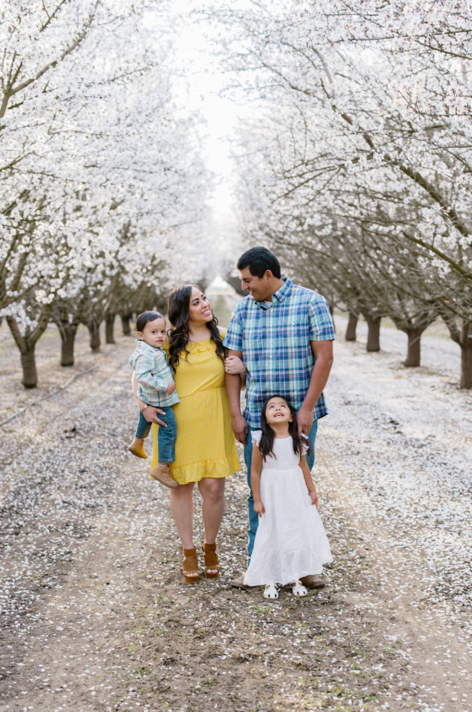 Family almond blossom california photo session in the central valley of california