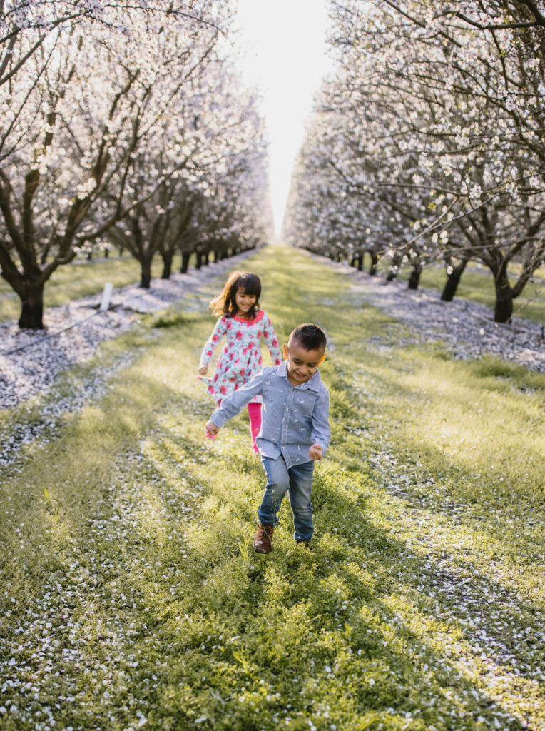 kids running in the central valley california orchard