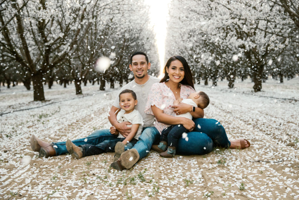 Family almond blossom california photo session in the central valley of california