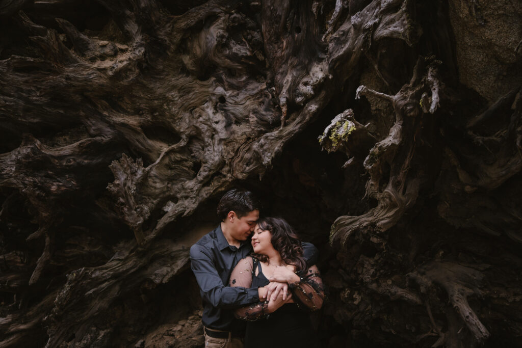 Couples photoshoot in Sequoia National Park 