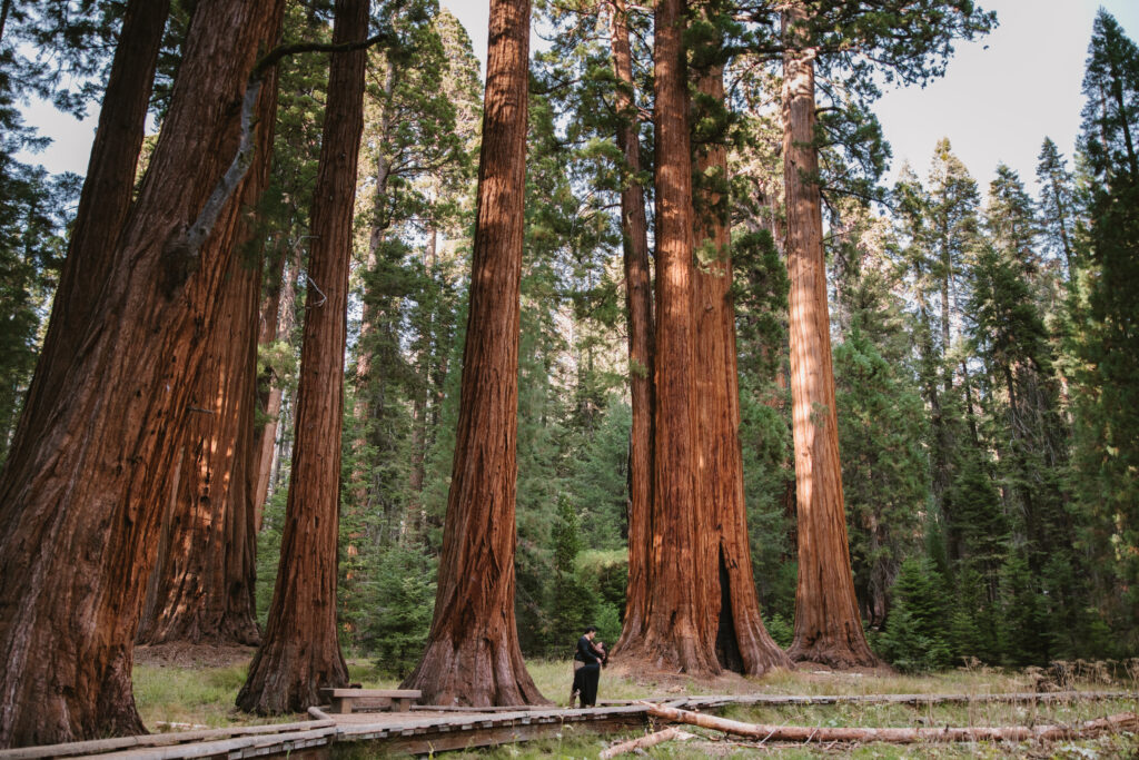 Top 10 Fresno Area Locations For Photo Shoot Sessions