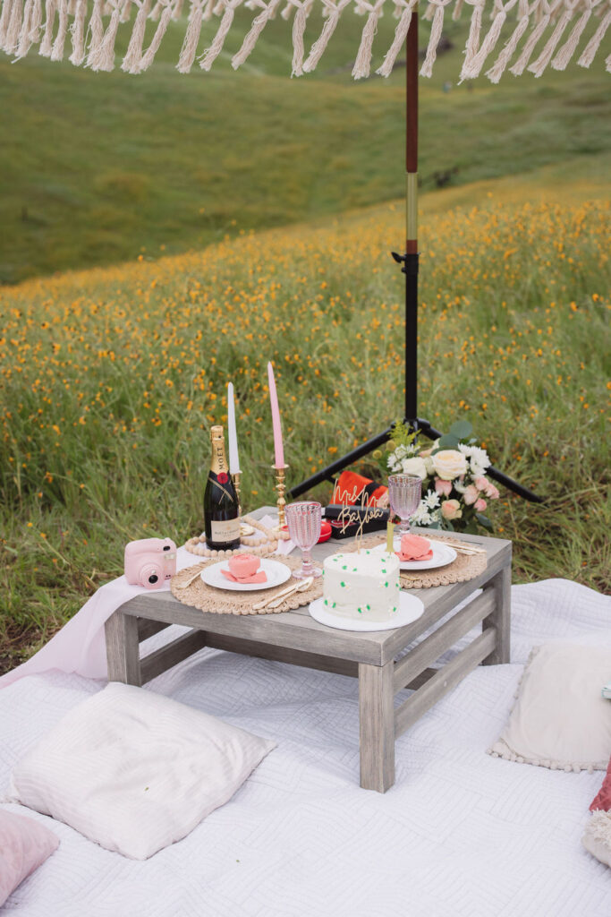 Romantic picnic set up