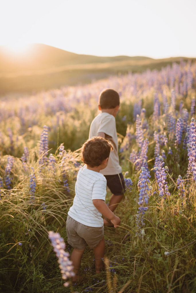 children walking through lilac field