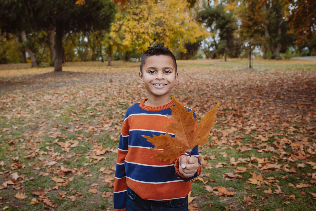 Little boy holding a leaf