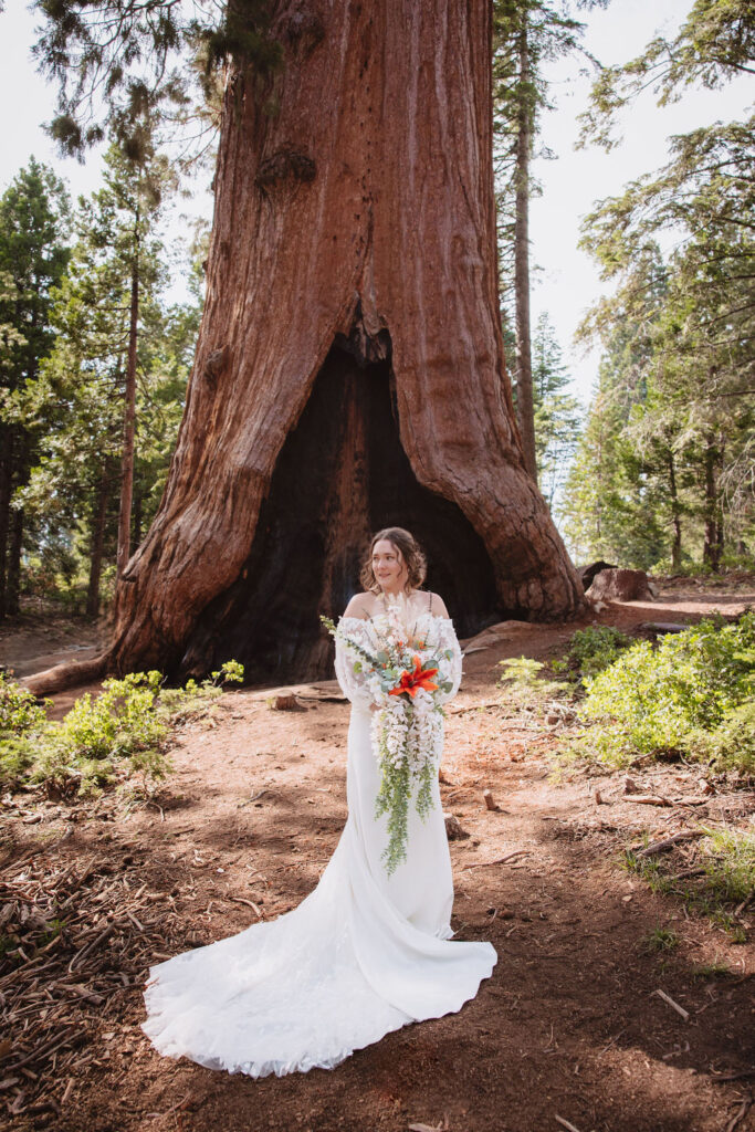 Bridal portraits from California elopement in Sequoia National Park
