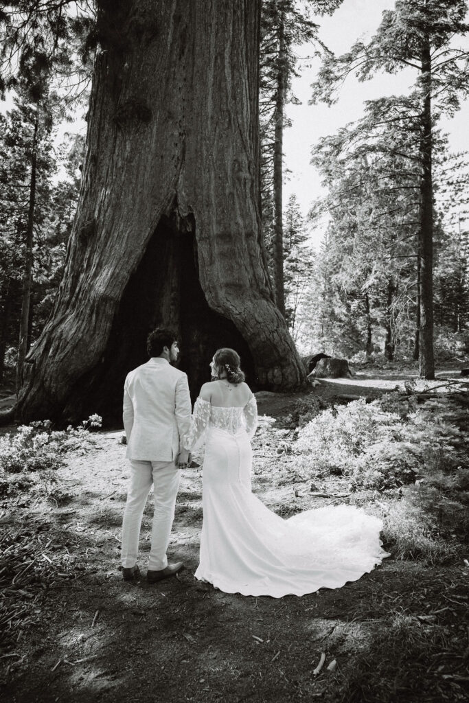Bride and groom portraits from California elopement in Sequoia National Park