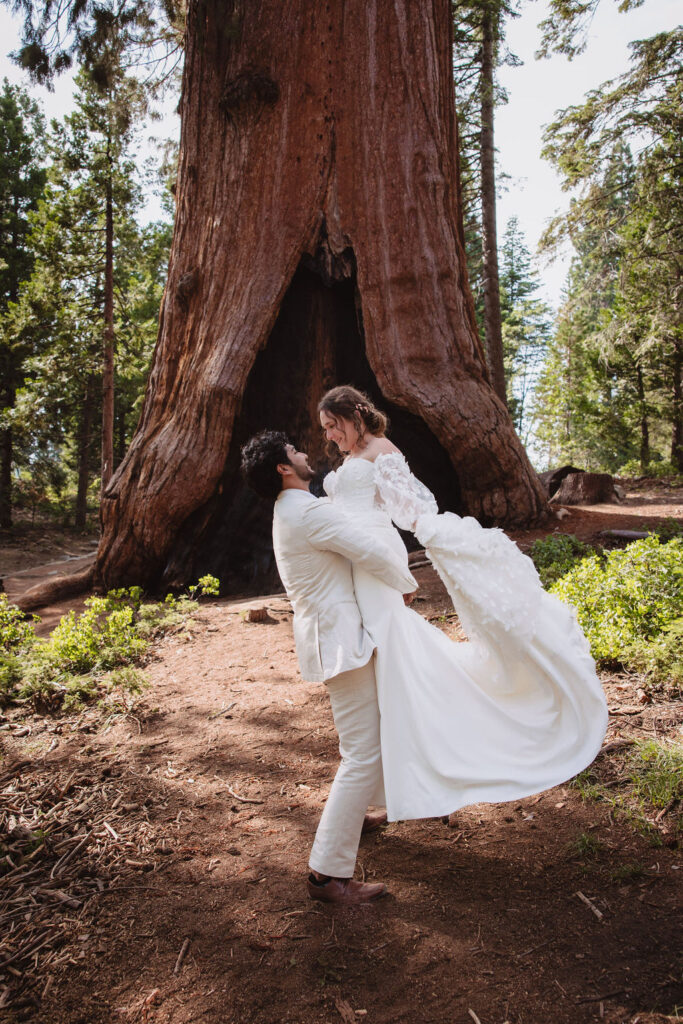 Sequoia National Park - Top 10 Fresno Photo Shoot Locations
