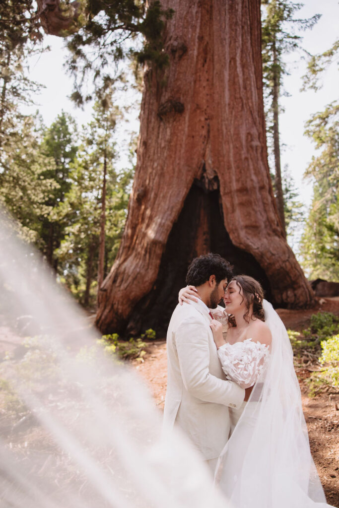 Bride and groom portraits from California elopement in Sequoia National Park