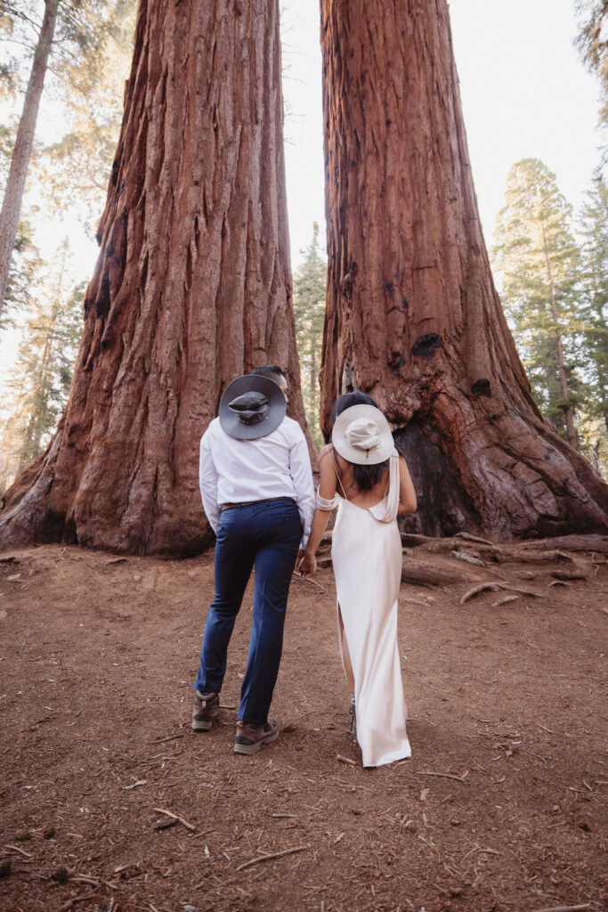 Couple posing for Sequoia National Park wedding portraits