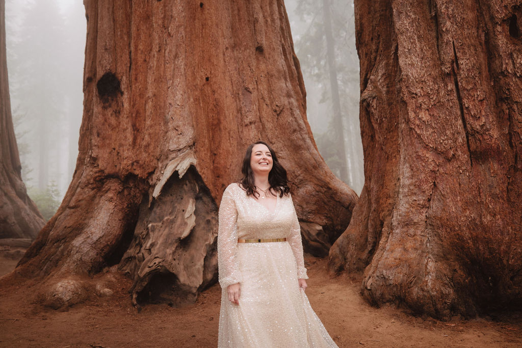 Bride portraits from a romantic and foggy Sequoia National Park elopement