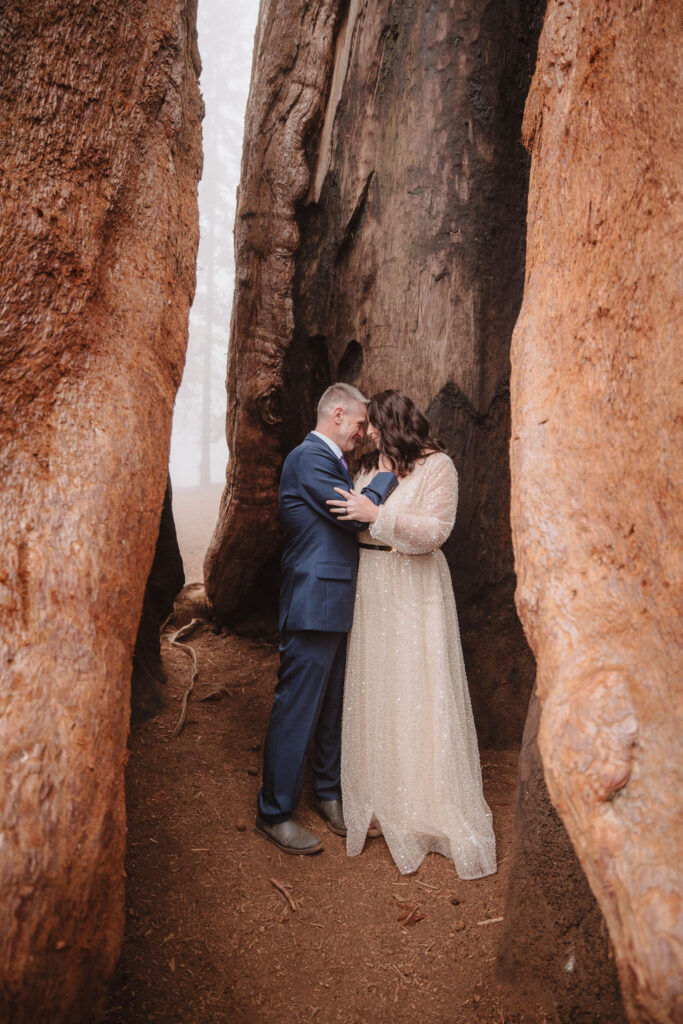Bride and groom portraits from a romantic and foggy Sequoia National Park elopement