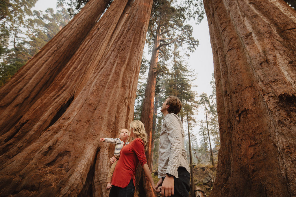 A Sequoia family photoshoot