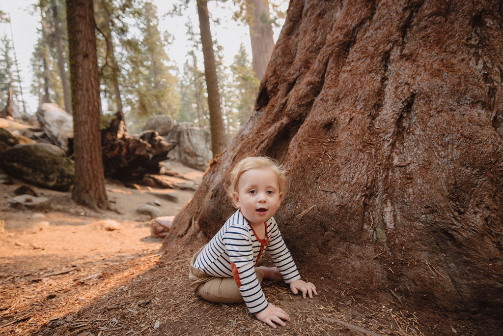 Baby sitting on the floorbed of Sequoia
