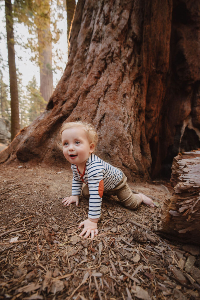 Baby on the floorbed of Sequoia National Park