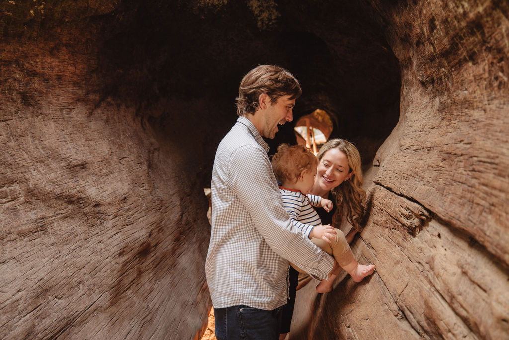 A Sequoia family photoshoot captured by Alyssa Michele Photo - Sequoia Family Photographer.