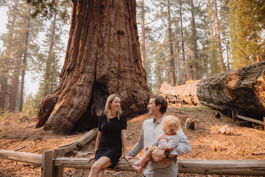 A Sequoia family photoshoot captured by Alyssa Michele Photo - Sequoia Family Photographer.