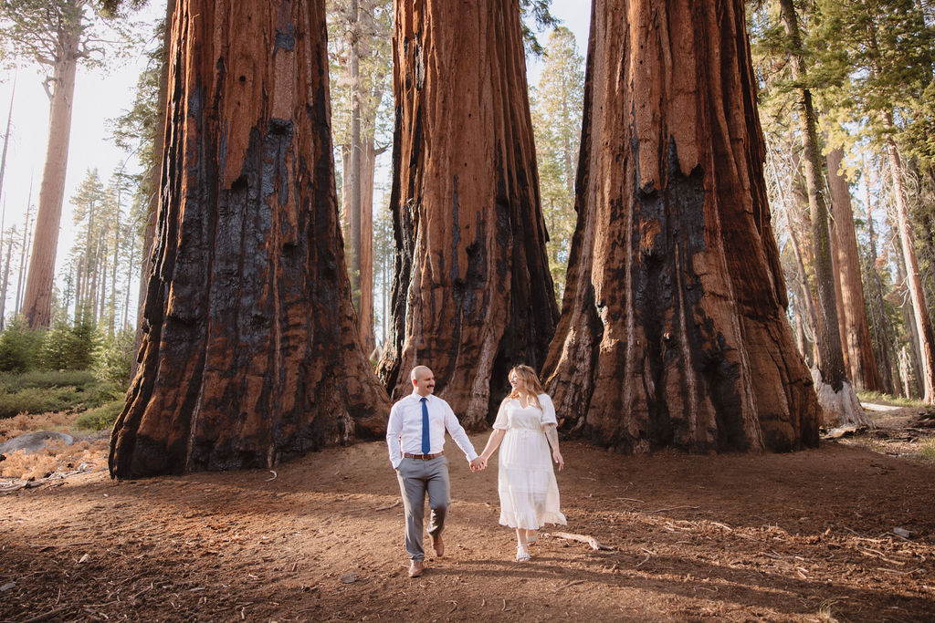 Fall engagement photos in Sequoia National Park