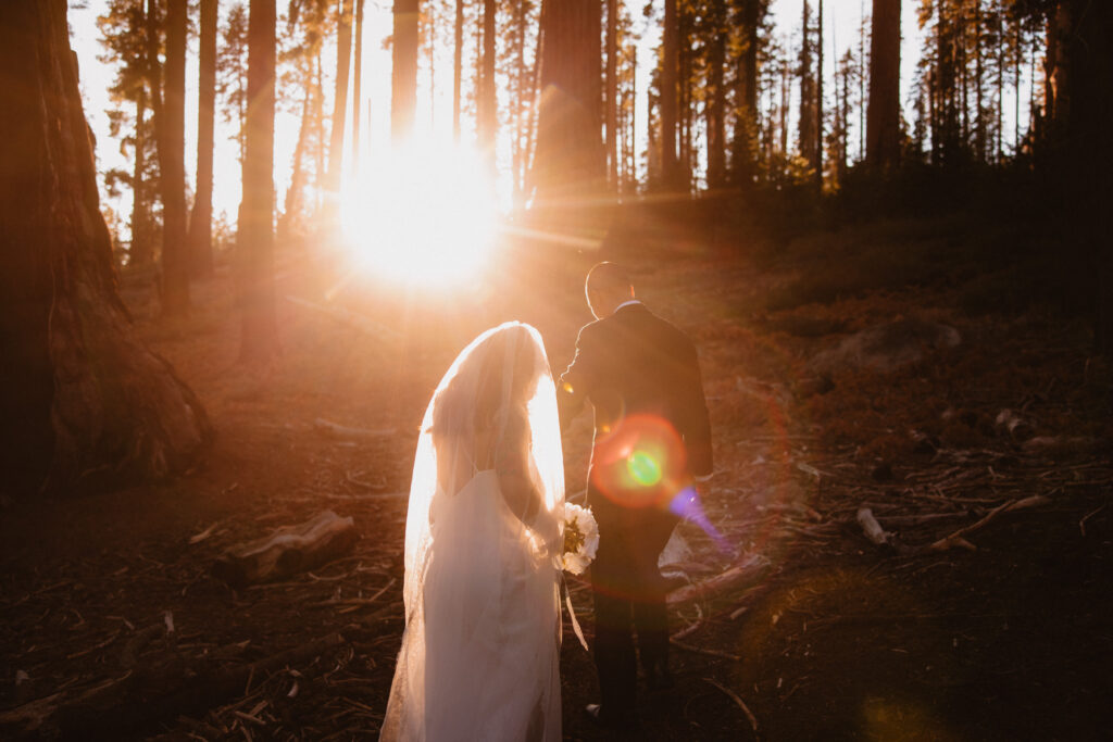 Bride and groom walking in sequoia national park