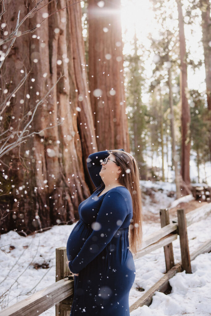Snowy maternity photos in Sequoia National Park