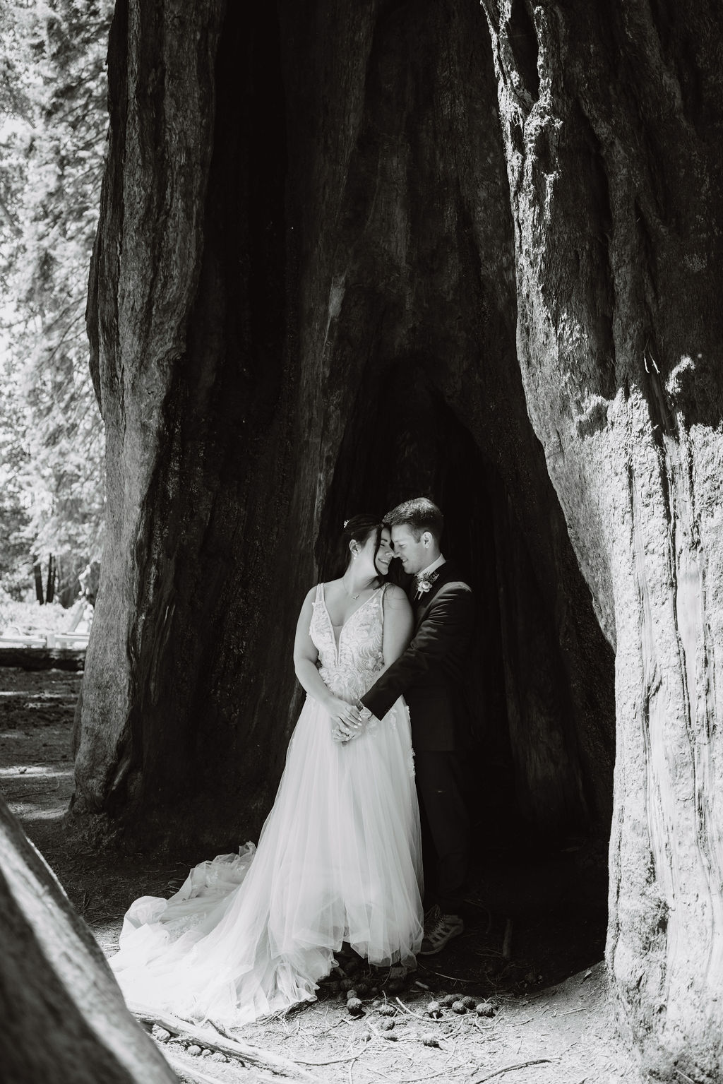A bride and groom share a kiss in a forest, surrounded by tall trees, with the bride wearing a long, flowing wedding gown at their Adventurous Elopement at Sequoia National Park