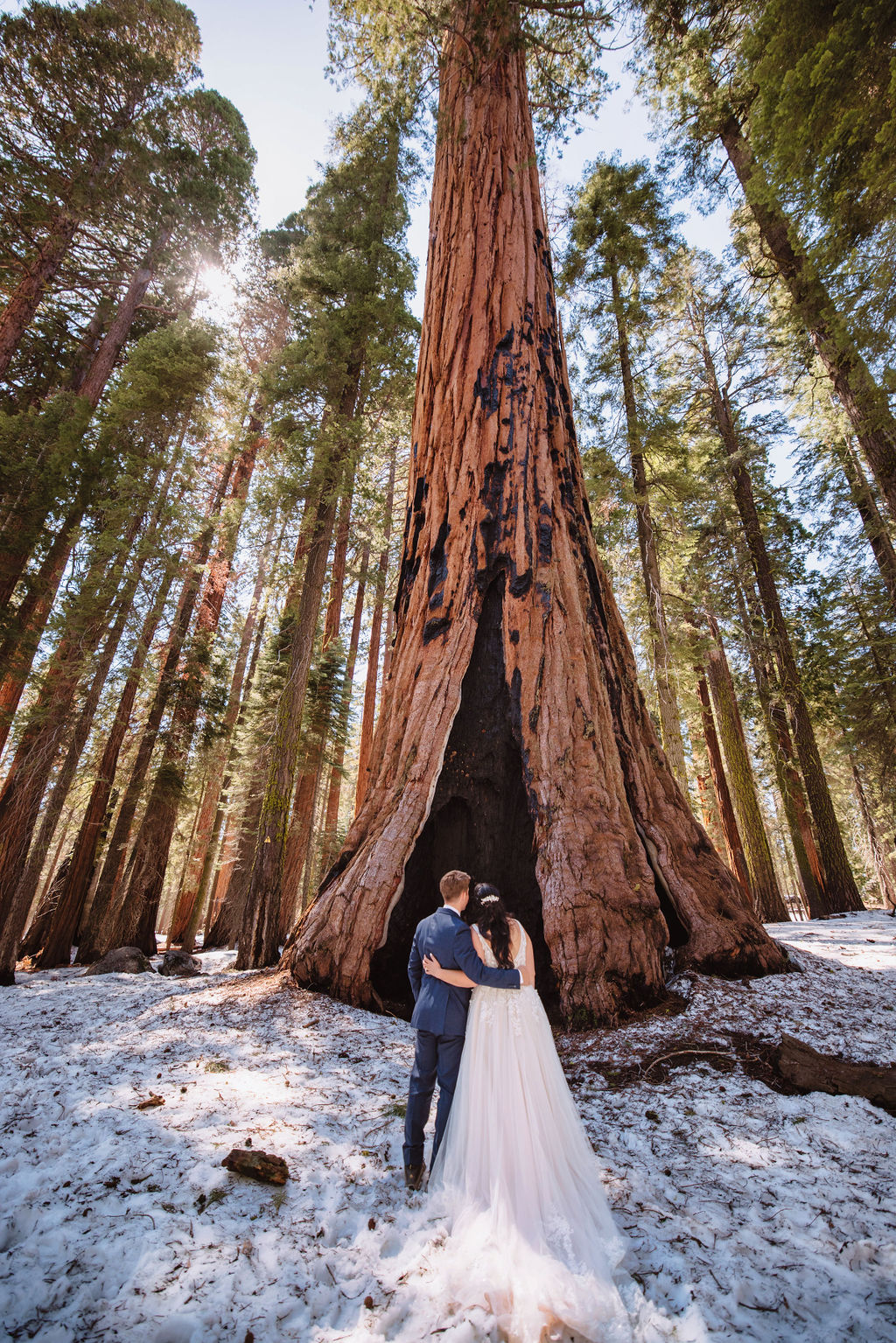 A bride and groom in a forest, surrounded by tall trees, with the bride wearing a long, flowing wedding gown
