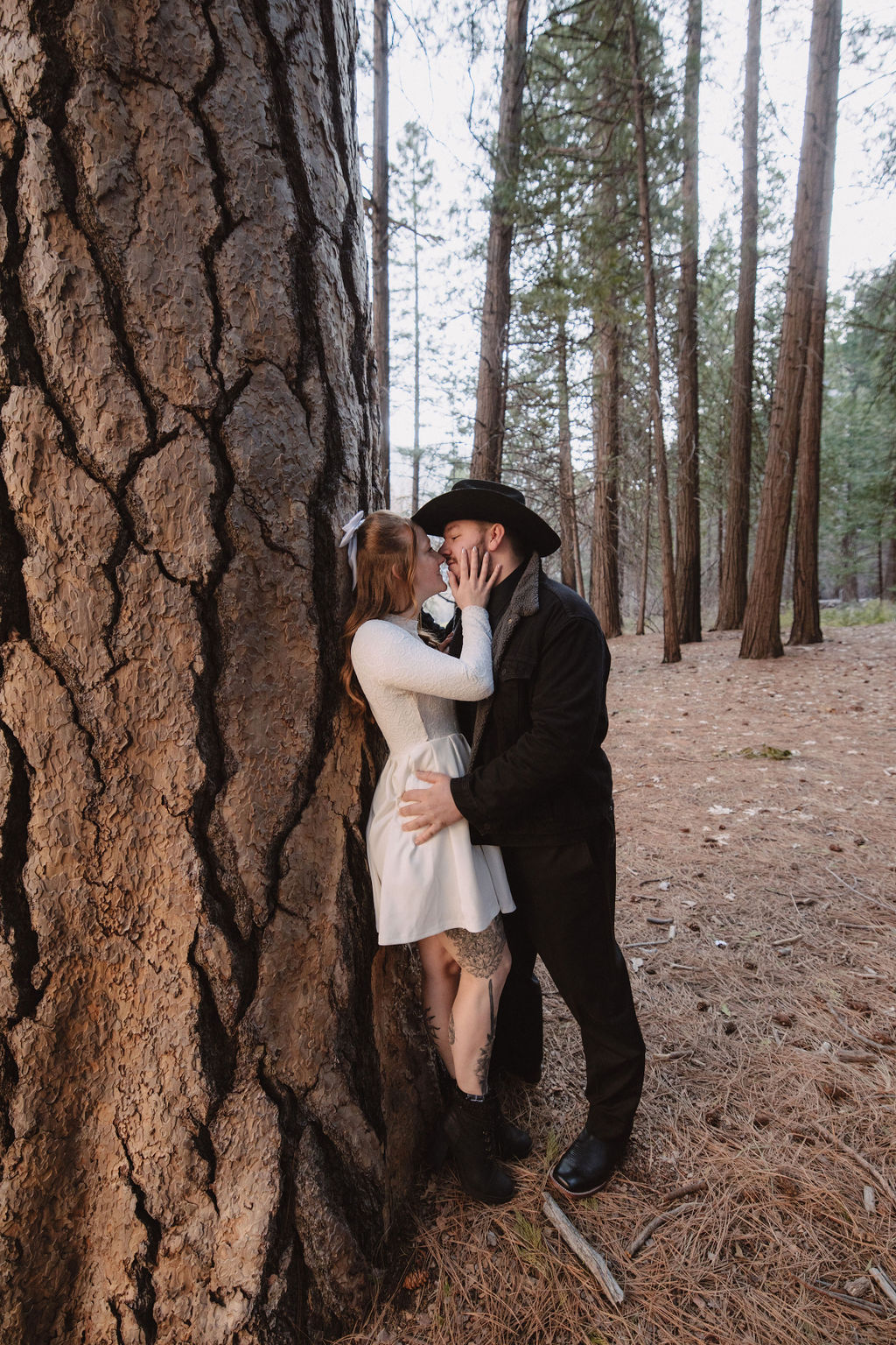 A couple embracing and kissing next to a large tree in a forest, the man in a black suit and hat, and the woman in a white dress.