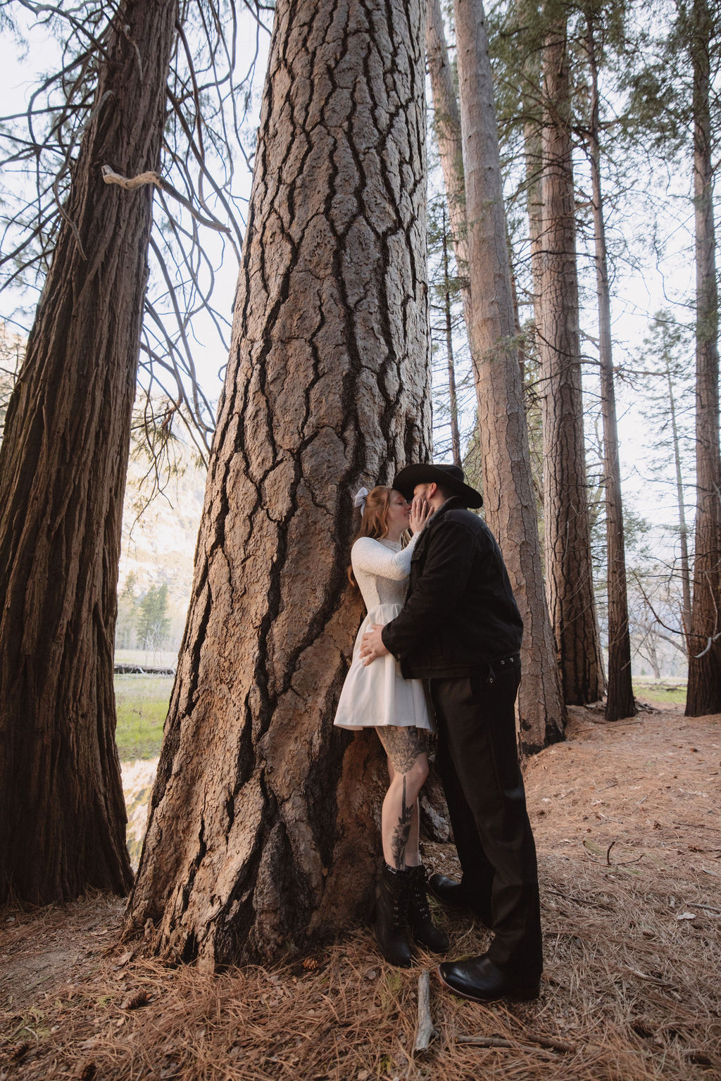 A couple embracing and kissing next to a large tree in a forest, the man in a black suit and hat, and the woman in a white dress.