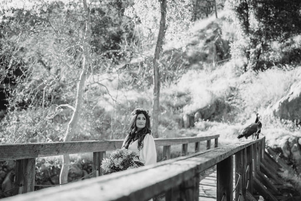 an outdoor wedding at a ranch in california