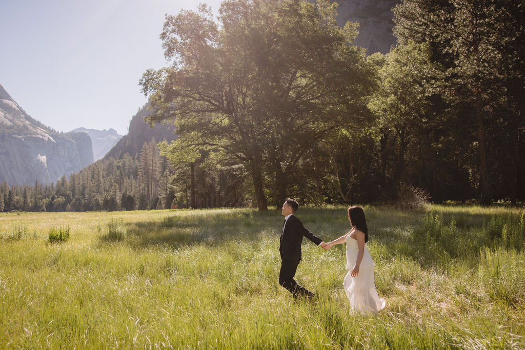 A couple in formal attire walks hand in hand through a grassy meadow with mountains in the background on a sunny day