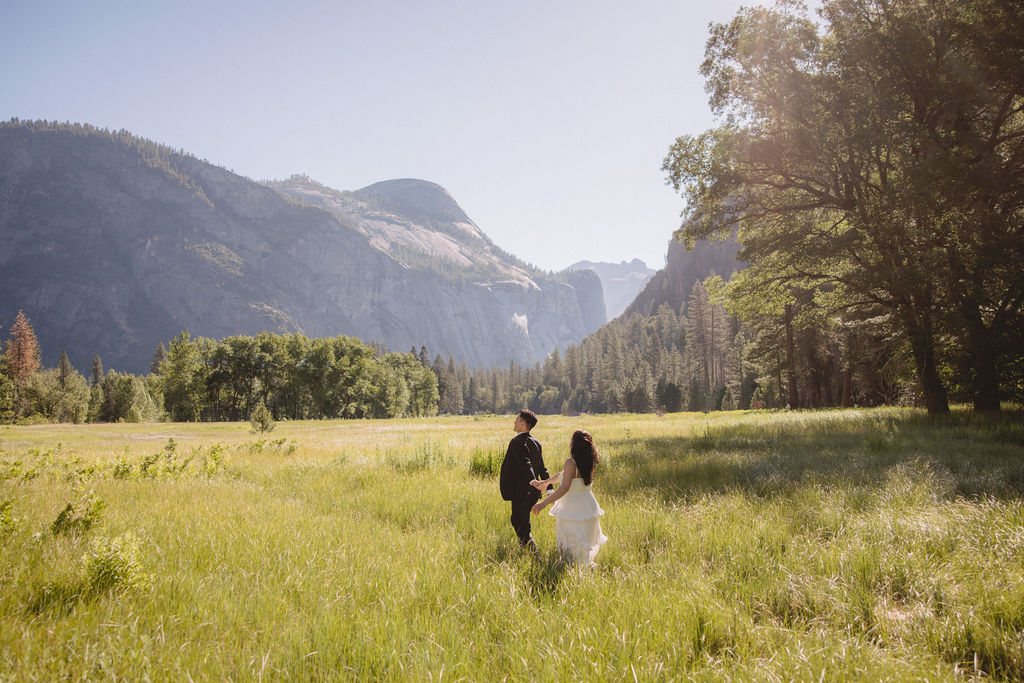 A couple in formal attire walks hand in hand through a grassy meadow with mountains in the background on a sunny day 