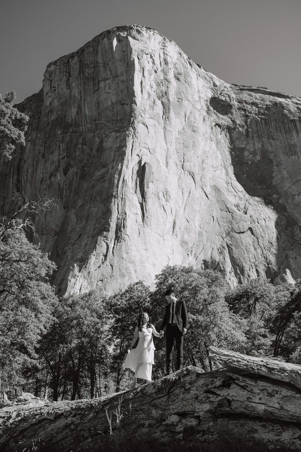 A couple in formal attire hold hands in a grassy field with a waterfall and towering cliffs in the background 