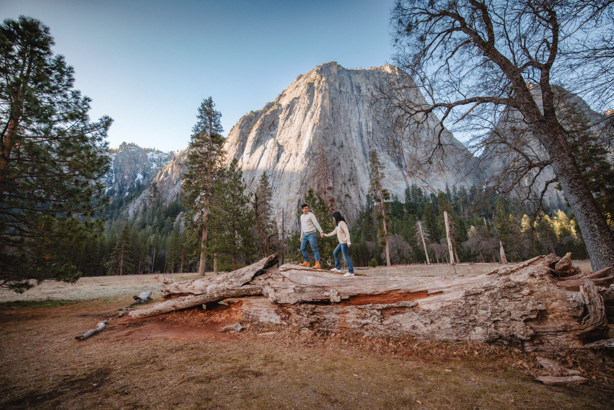 A couple holds hands while walking through a grassy field with a forest and mountain range in the background. Ultimate Yosemite Visitor Guide 