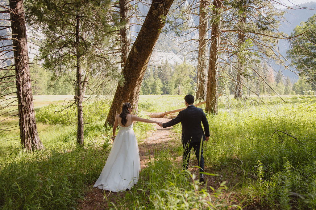 A bride and groom stand holding hands in a meadow with a mountain and waterfall in the background. The bride is holding a bouquet and both are looking away from the camera in Yosemite national park