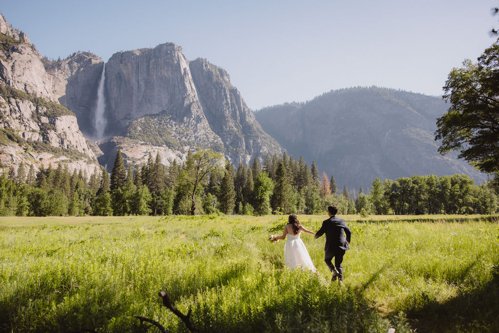 A bride and groom stand holding hands in a meadow with a mountain and waterfall in the background. The bride is holding a bouquet and both are looking away from the camera in Yosemite national park