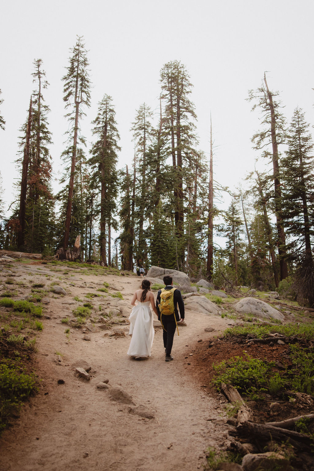 A person in a formal dress and another in casual attire with a backpack walk along a forest path surrounded by tall trees.