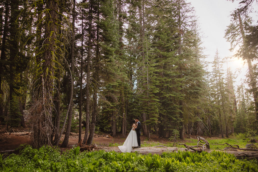 A couple in formal attire shares an intimate moment while standing on a log in a dense forest clearing with sunlight filtering through the trees in Yosemite