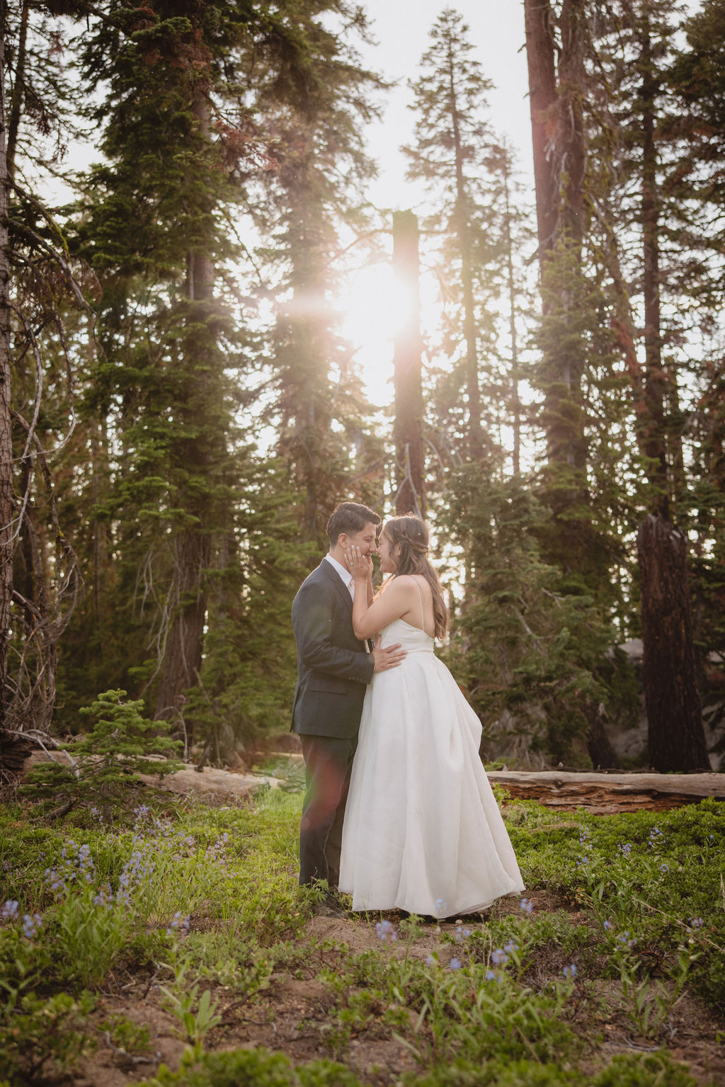 A couple in formal attire shares an intimate moment while standing on a log in a dense forest clearing with sunlight filtering through the trees in Yosemite