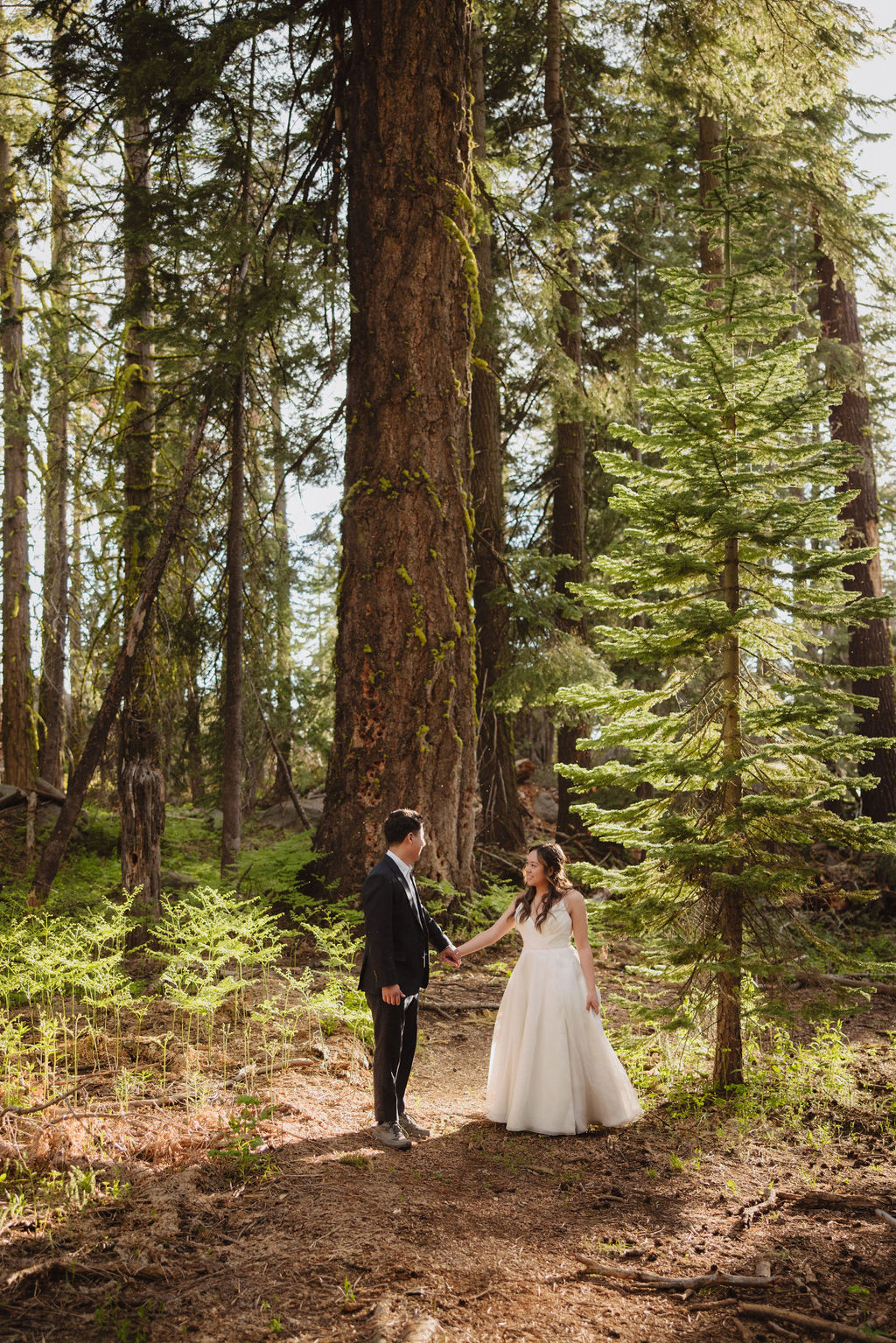 A couple in formal attire shares an intimate moment while standing on a log in a dense forest clearing with sunlight filtering through the trees in Yosemite