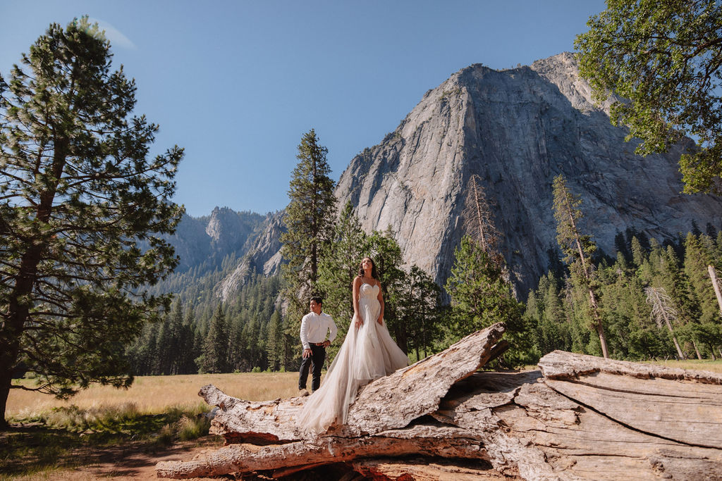 Bride in a white dress and groom in a white shirt standing on a large fallen tree with a forest and rocky mountain in the background.