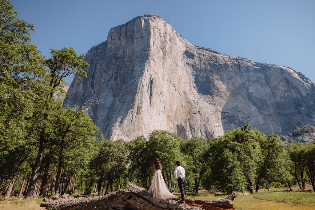 Bride in a white dress and groom in a white shirt standing on a large fallen tree with a forest and rocky mountain in the background.