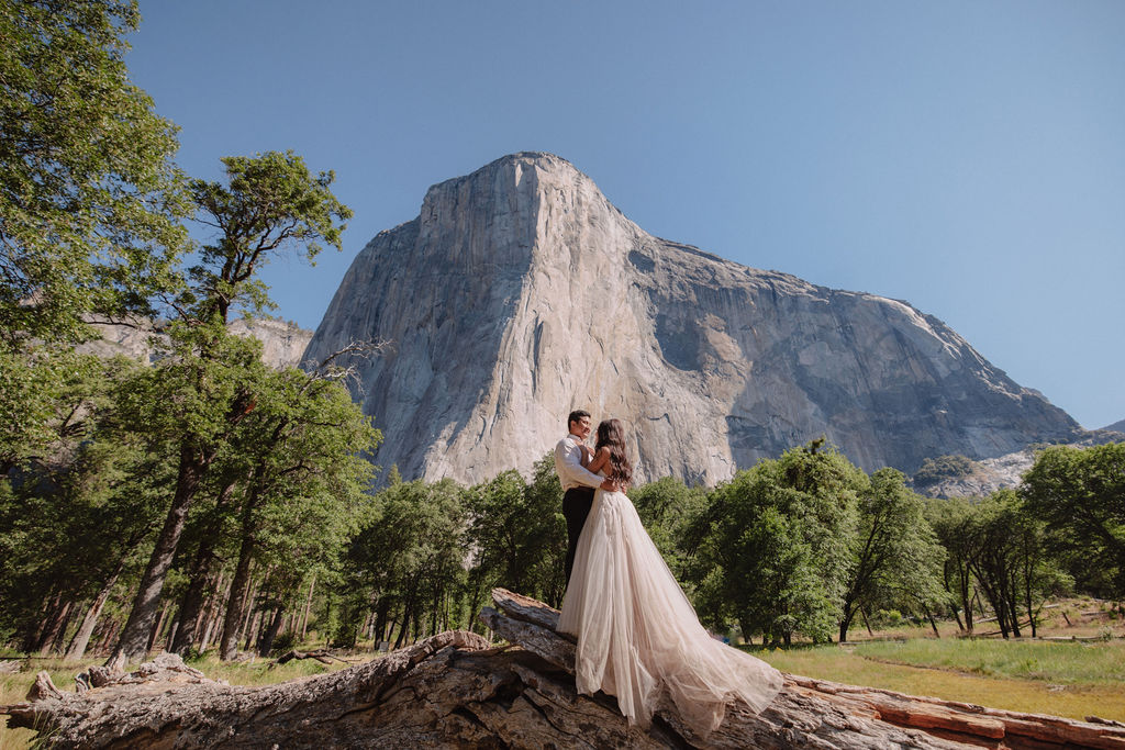 Bride in a white dress and groom in a white shirt standing on a large fallen tree with a forest and rocky mountain in the background.