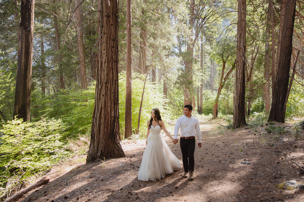 Bride in a white dress and groom in a white shirt standing on a large fallen tree with a forest and rocky mountain in the background.