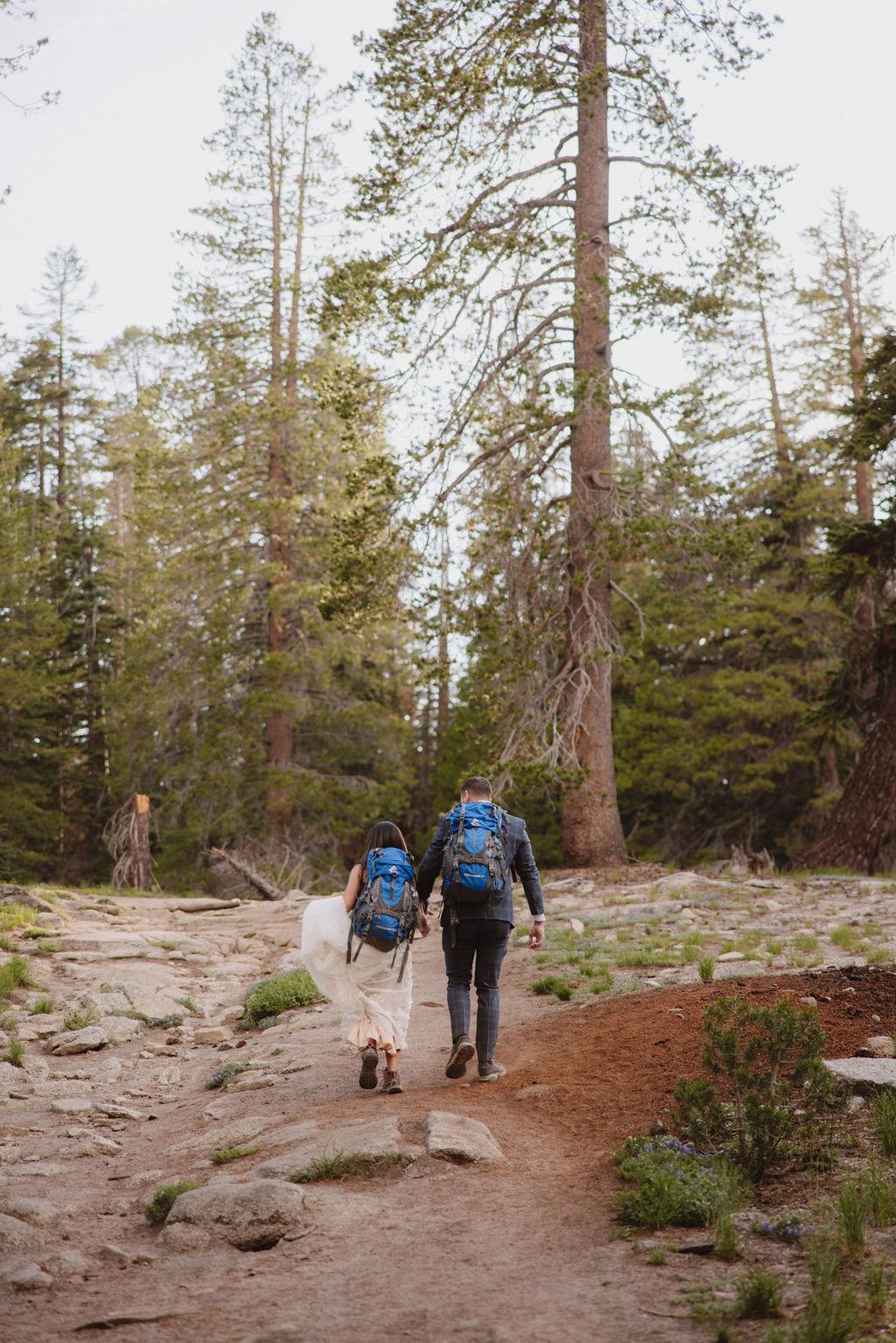 Two people wearing backpacks walk hand-in-hand along a forest trail surrounded by tall pine trees. | Tips for planning a stress free yosemite elopement