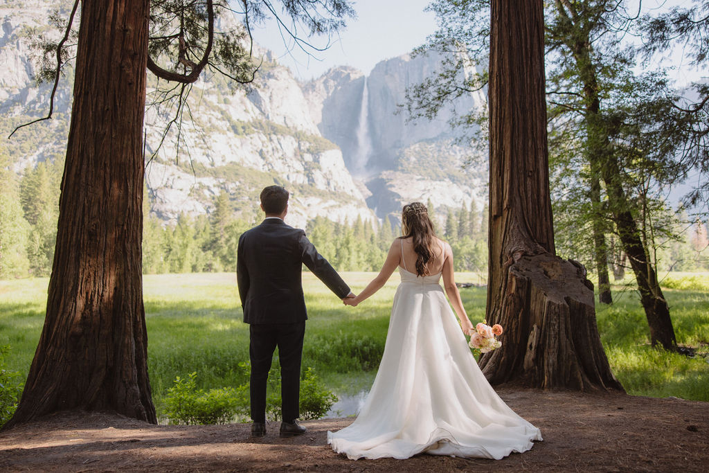 A couple in wedding attire holds hands while standing between two large trees, facing a scenic landscape with a waterfall in the background for their yosemite elopement 