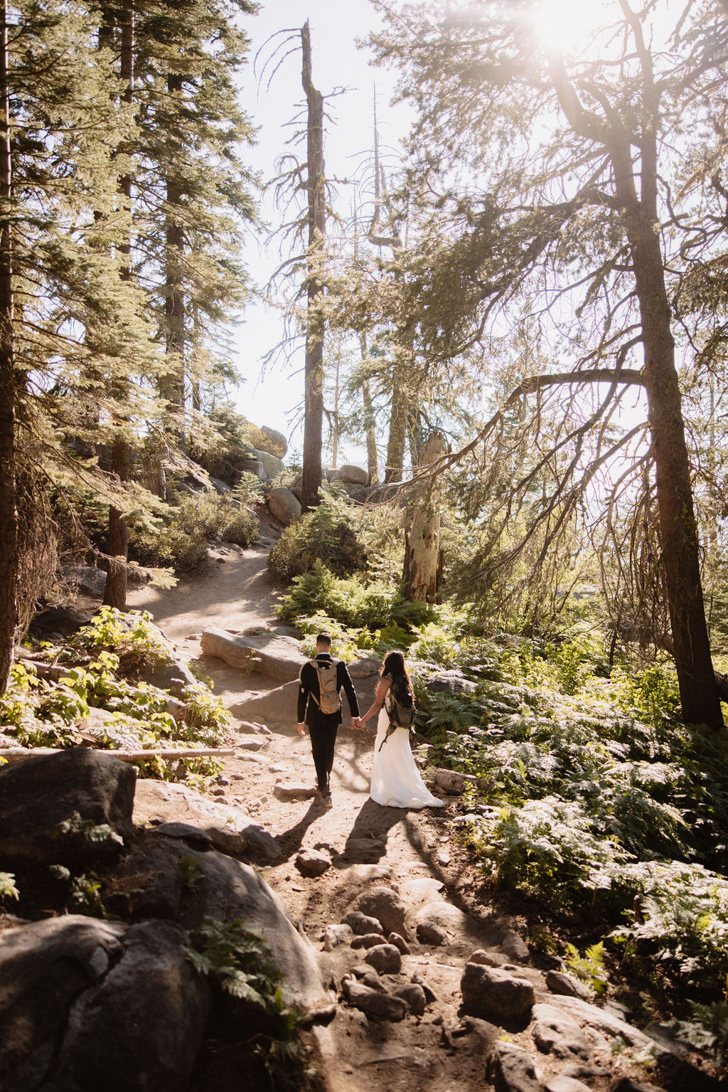 A couple dressed in wedding attire shares an intimate moment in a sunlit forest with tall trees and green foliage. What to pack for a yosemite elopement