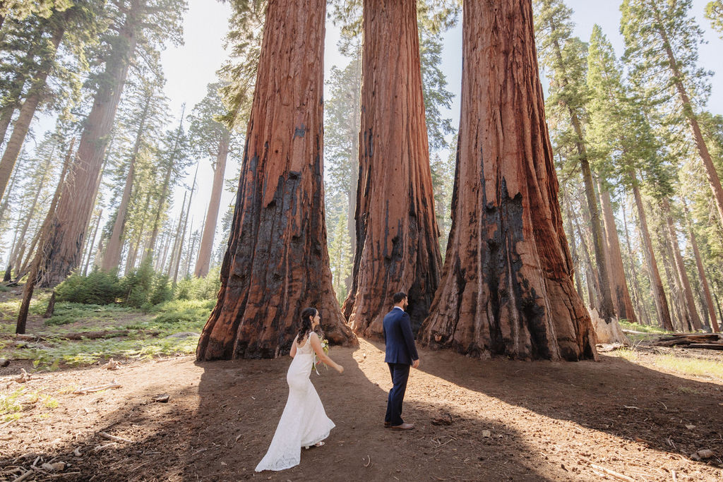 Couple having a first look in sequoia national park 
Top 5 reasons to elope in sequoia national park