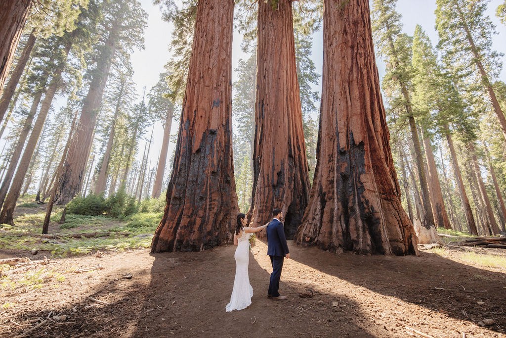 Couple having a first look in sequoia national park 
Top 5 reasons to elope in sequoia national park