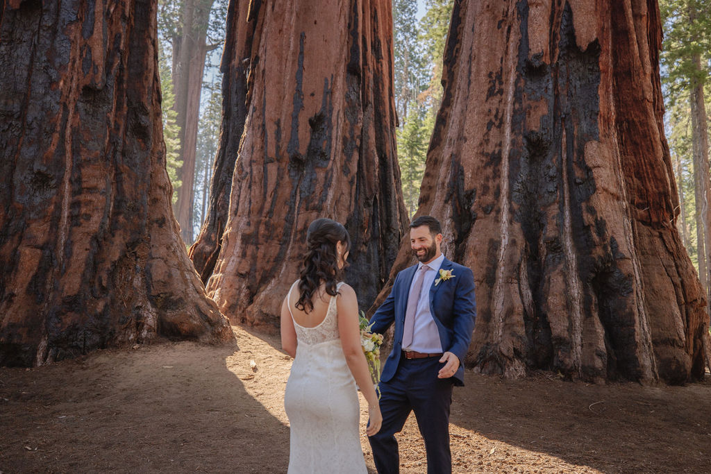 Couple having a first look in sequoia national park 
Top 5 reasons to elope in sequoia national park