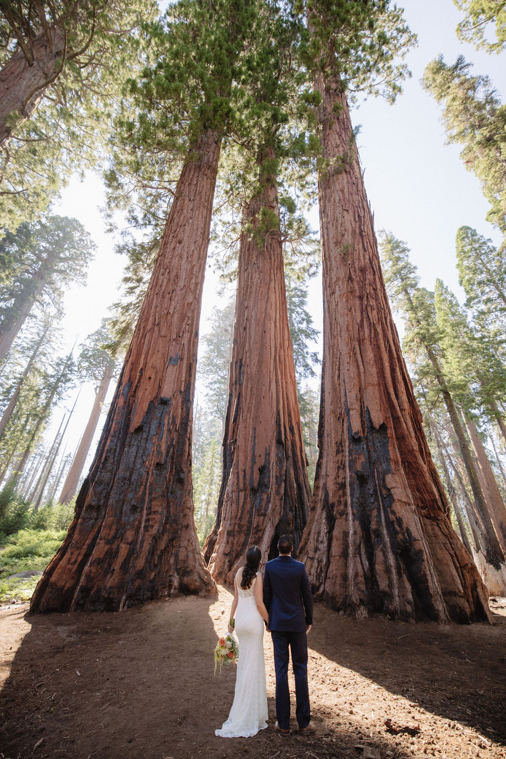 Couple having a first look in sequoia national park 
Top 5 reasons to elope in sequoia national park