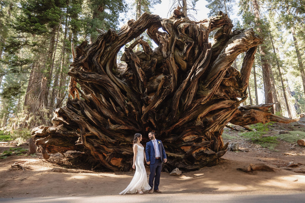 Two people in formal attire walk holding hands, each carrying backpacks with wooden signs. One sign reads "Just," and the other reads "Eloped.
Top 5 reasons to elope in sequoia national park